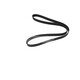 COURROIE CRANTEE ORIG 8PK1557HD
